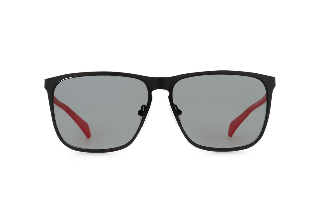 flat goggles REDMS101