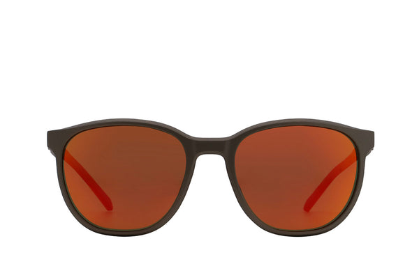 REDPS110 - DART CONCEPT